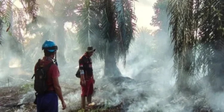 Asap Karhutla Ganggu Tanaman, Harga Pangan di Kotawaringin Barat Melambung